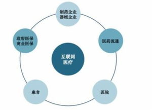 互联网 系列报告 阿里健康,颠覆医疗